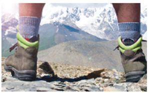 Treking Eukaliptus